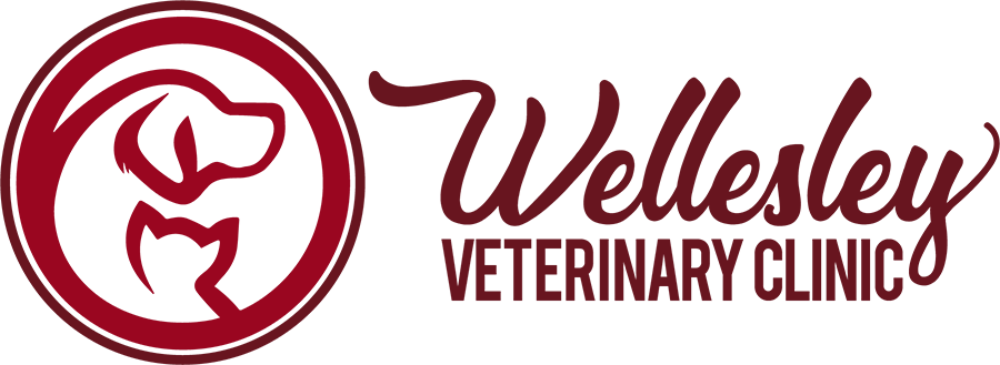 Wellesley Veterinary Clinic